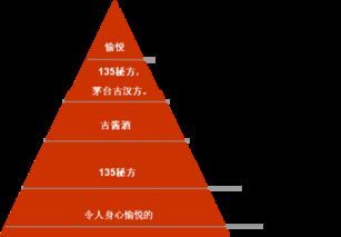古漢方白酒產(chǎn)品包裝設(shè)計(jì)與品牌營(yíng)銷策劃方案